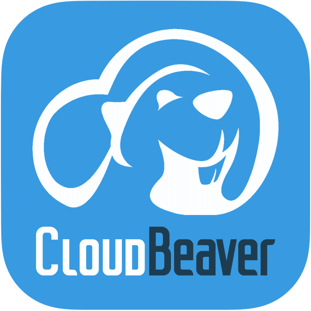 Cloudbeaver B