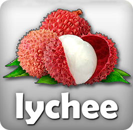 Lychee
